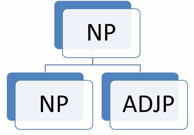 NP1