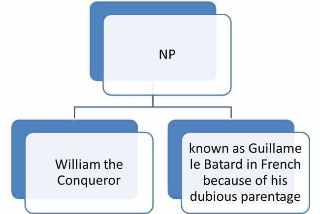 NP3